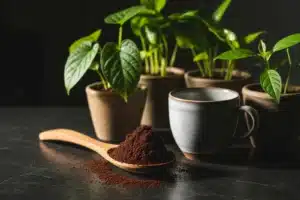 Marc de café et ses utilisations : marc dans une cuillère en bois près d'une tasse et de jeunes plants verts