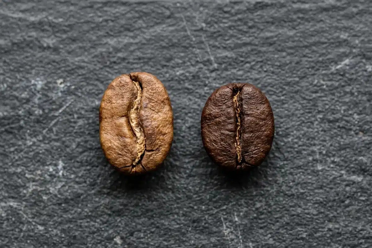 Grains de café arabica et robusta côte à côte Deux grains de café arabica et robusta sur ardoise sombre illustrant les différences d'amertume